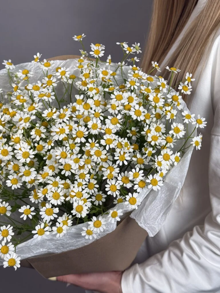 Монобукет из ромашки танацетум 7 шт — фото 2