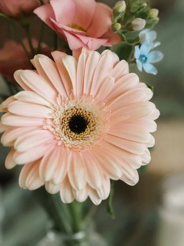 Свадьба Шатёр Море, оформление G Flowers — фото 6